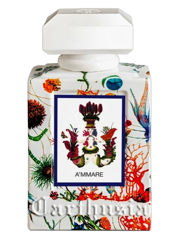 Carthusia A’mmare