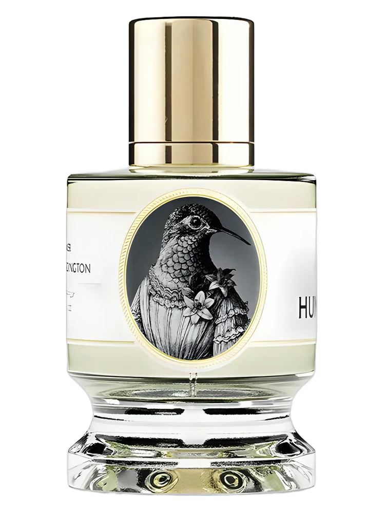 Zoologist Hummingbird